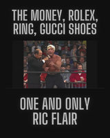 Pre Order Officially Licensed Wrestling Giant Series Ric Flair 8inch scale. Promo Series Edition.